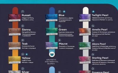 Best Disposable Vape in Alanya