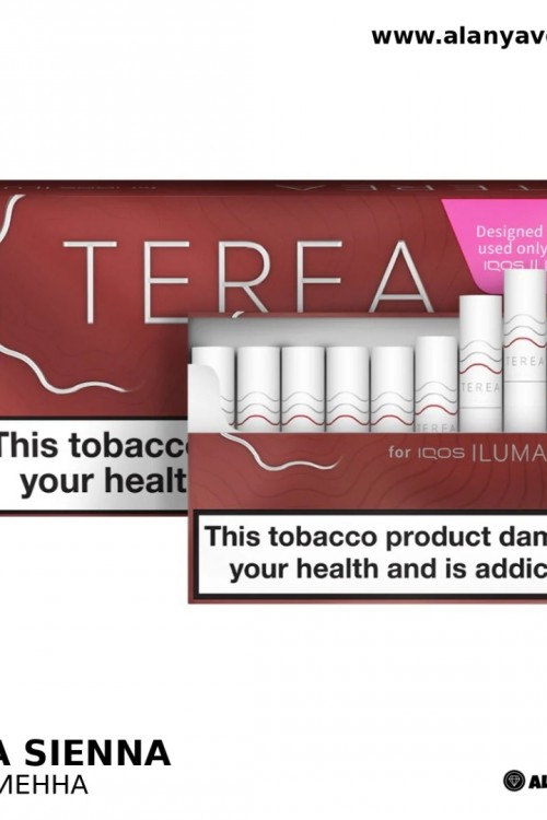 Terea Sienna iqos iluma uyumlu