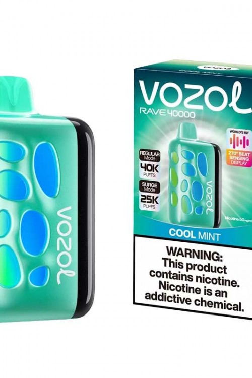 Vozol Rave 40000 Cool Mint