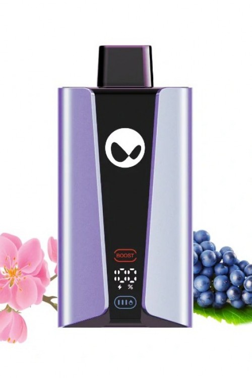 Waka SoPro 20000 Sakura Grape