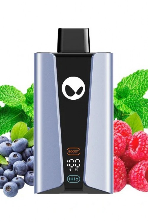 Waka SoPro 20000 Blue Raspberry Mint